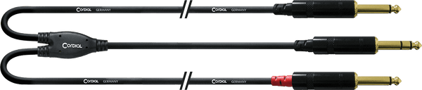 Cable de Audio Jack Estéreo - 2 Jacks Mono Largos 3 M