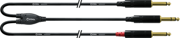 Cable de Audio Jack Estéreo - 2 Jacks Mono Largos 3 M