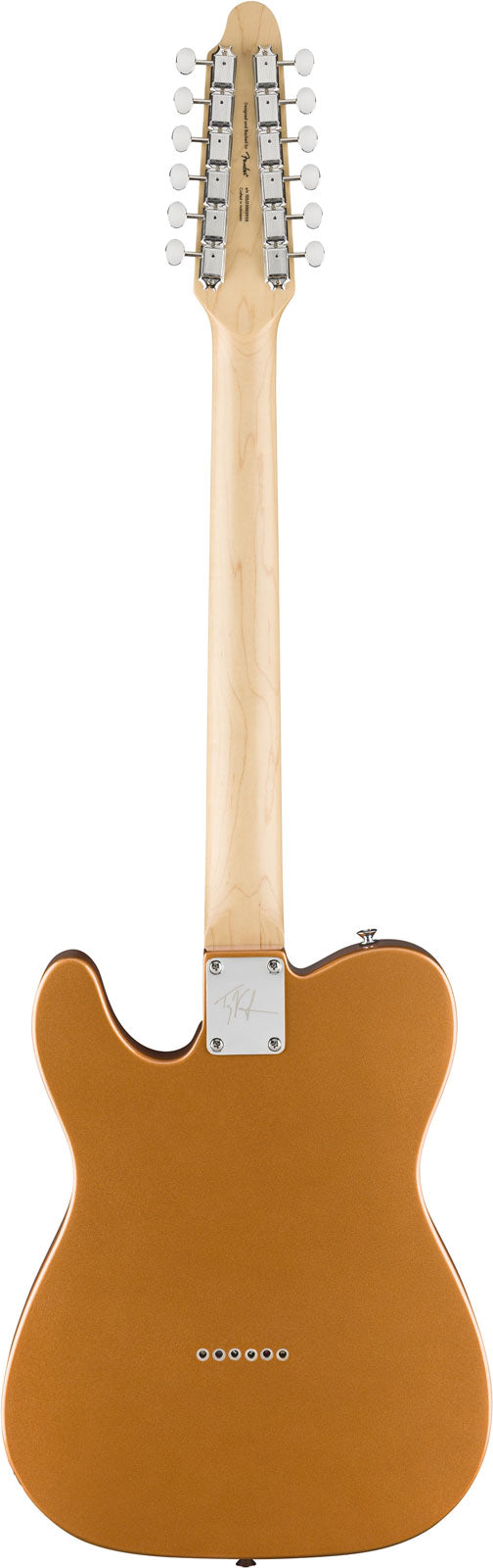 Telecaster Paranormal Troy Van Leeuwen XII, LRL Cobre