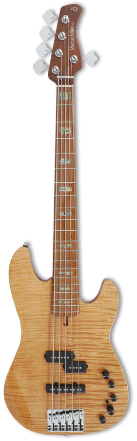P10 Alder-5 Nt En