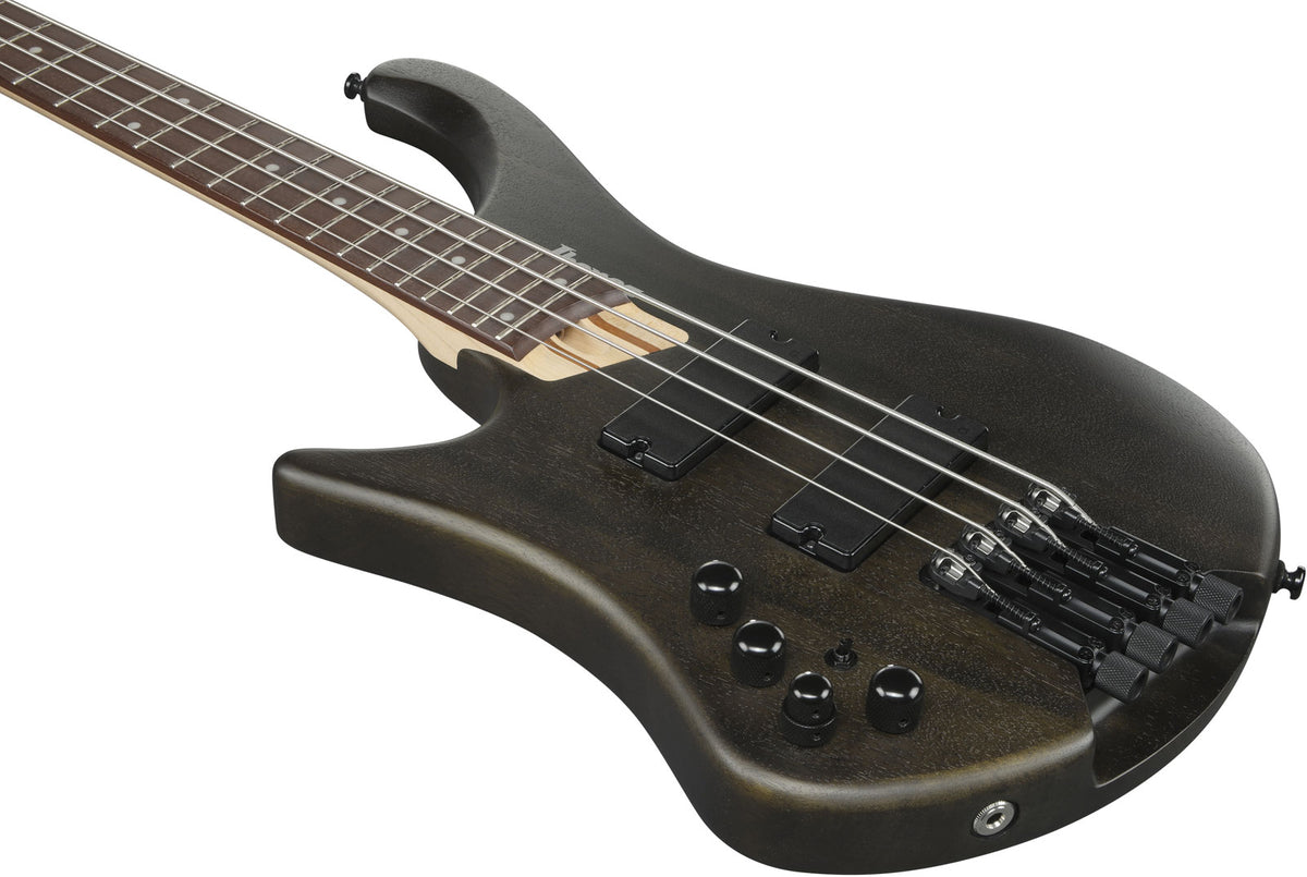 EHB600L Bass Workshop LTD Edition Zurdo Walnut Flat