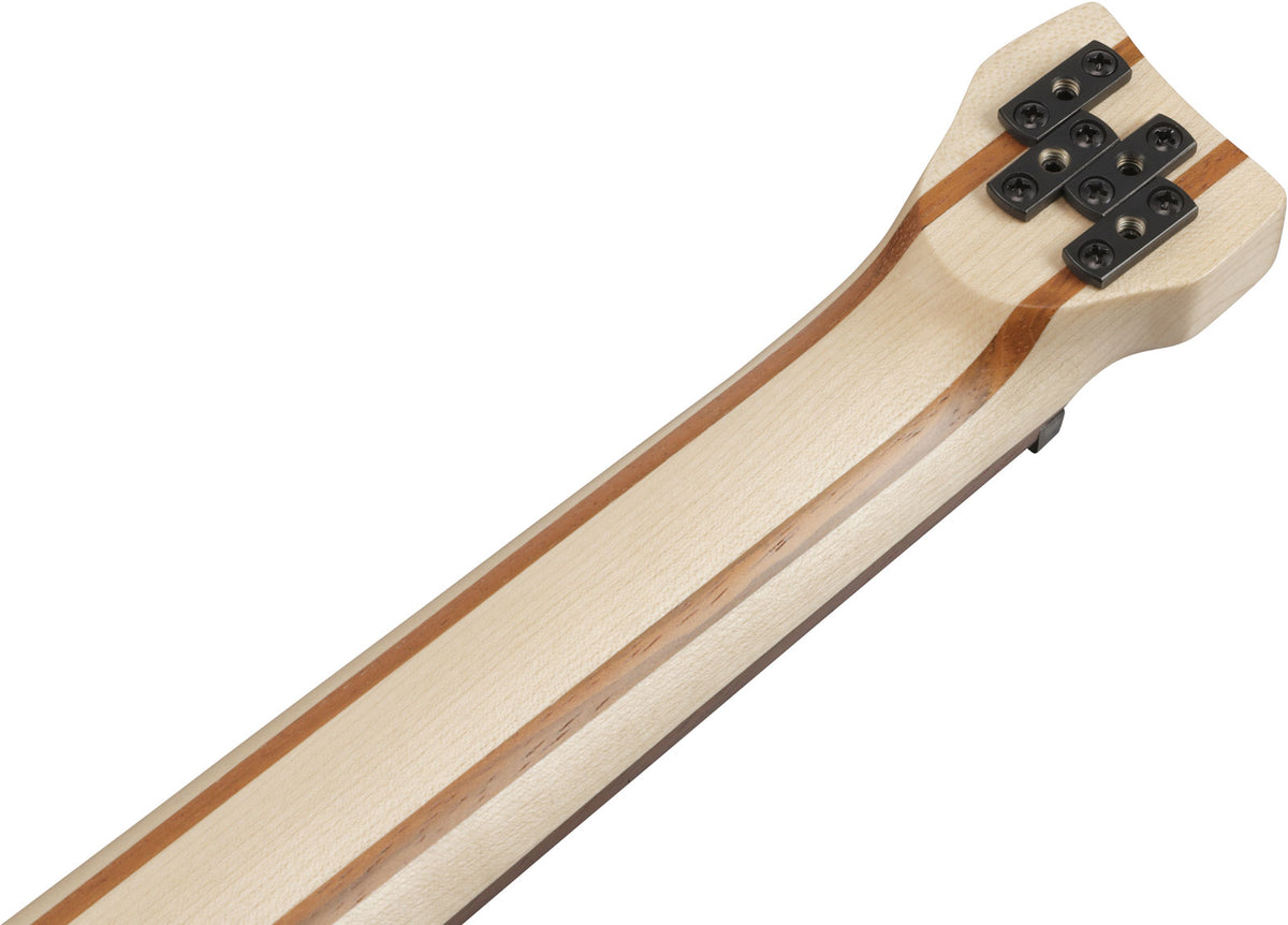 EHB600L Bass Workshop LTD Edition Zurdo Walnut Flat