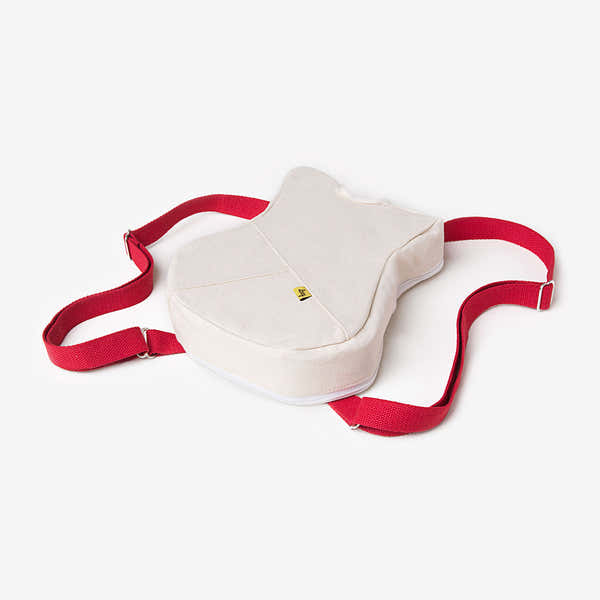Loog Canvas Gigbag