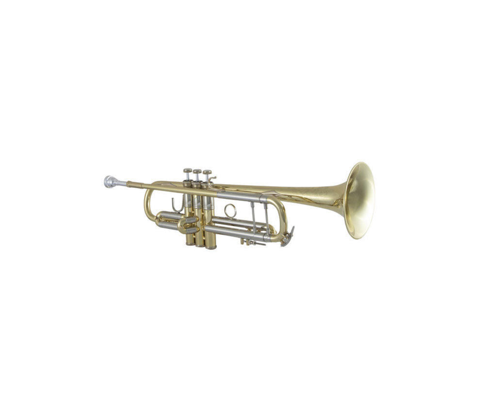 190S43 - SIB STRADIVARIUS PLATEADO
