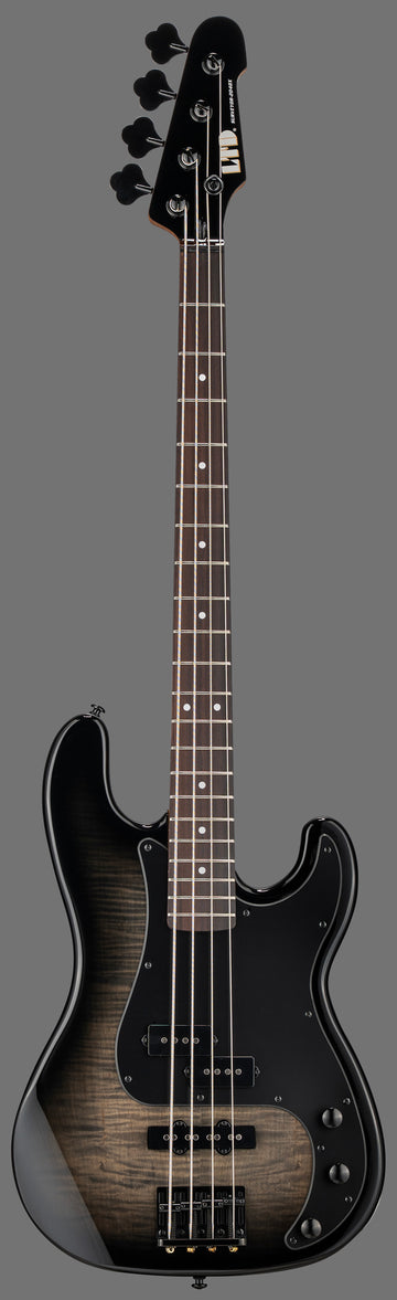 Surveyor-204DX Negro Burst