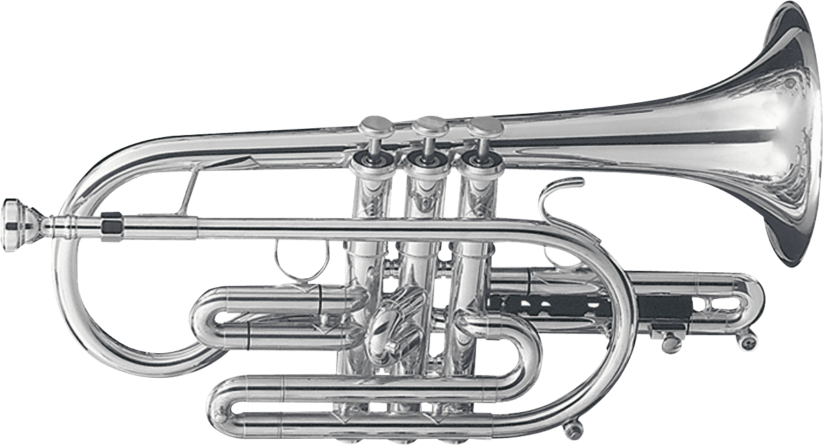 Getzen Eterna 800S Latón Plateado