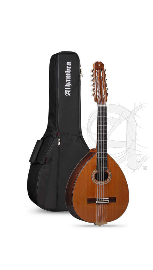 Conservatory L-4P Lutes + 9534 Gigbag