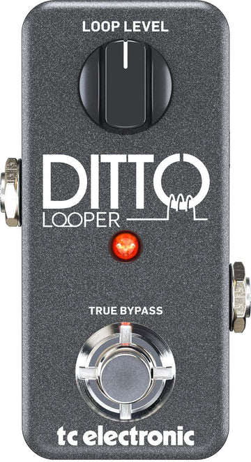 DITTO LOOPER