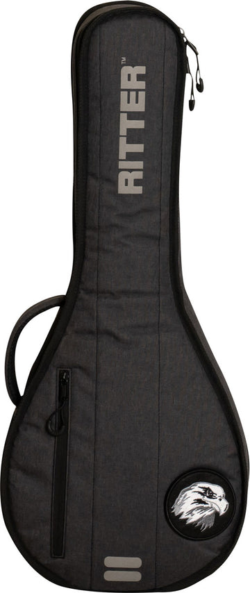 Mandolin Flat Gray Gigbag