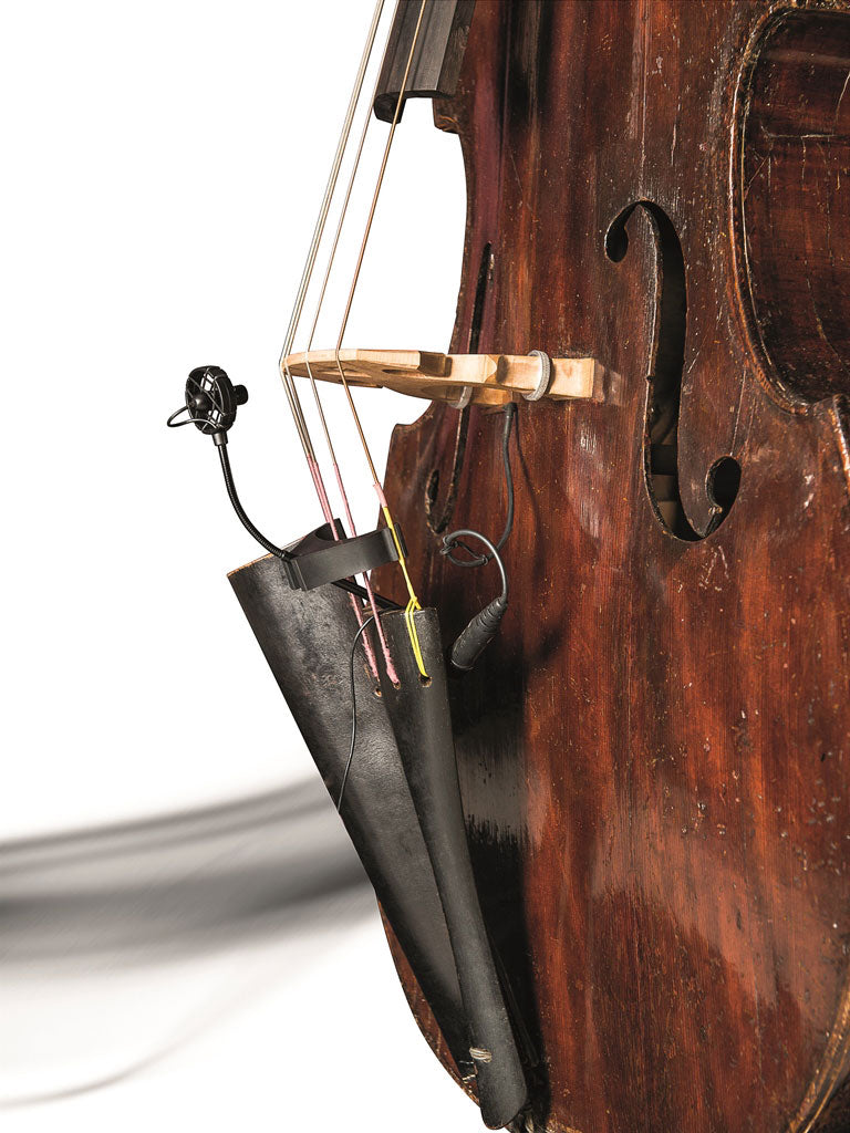 CL21 LANEN CELLO