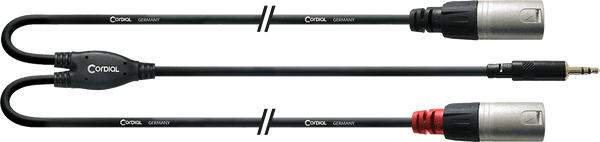 Cable Y Divisor Minijack Estéreo/2 XLR Machos Largos 3 M