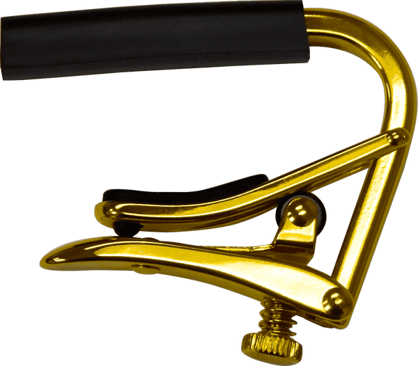 Shubb Gold Radio 184MM