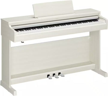 YDP-166 White Birch
