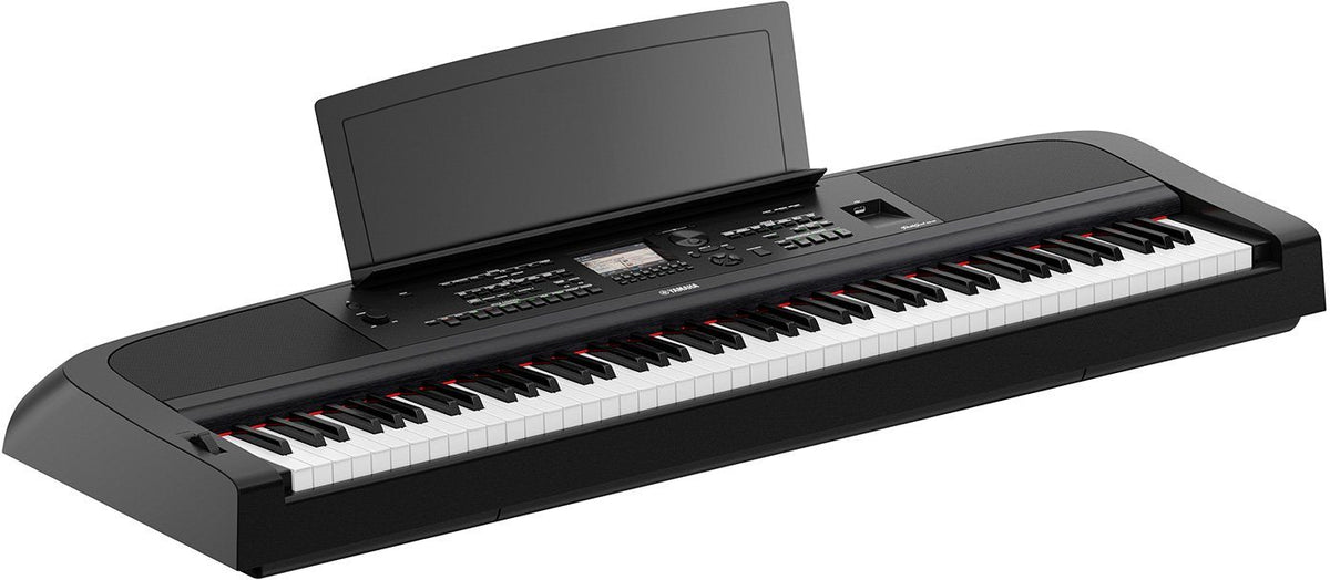 DGX-670 negro