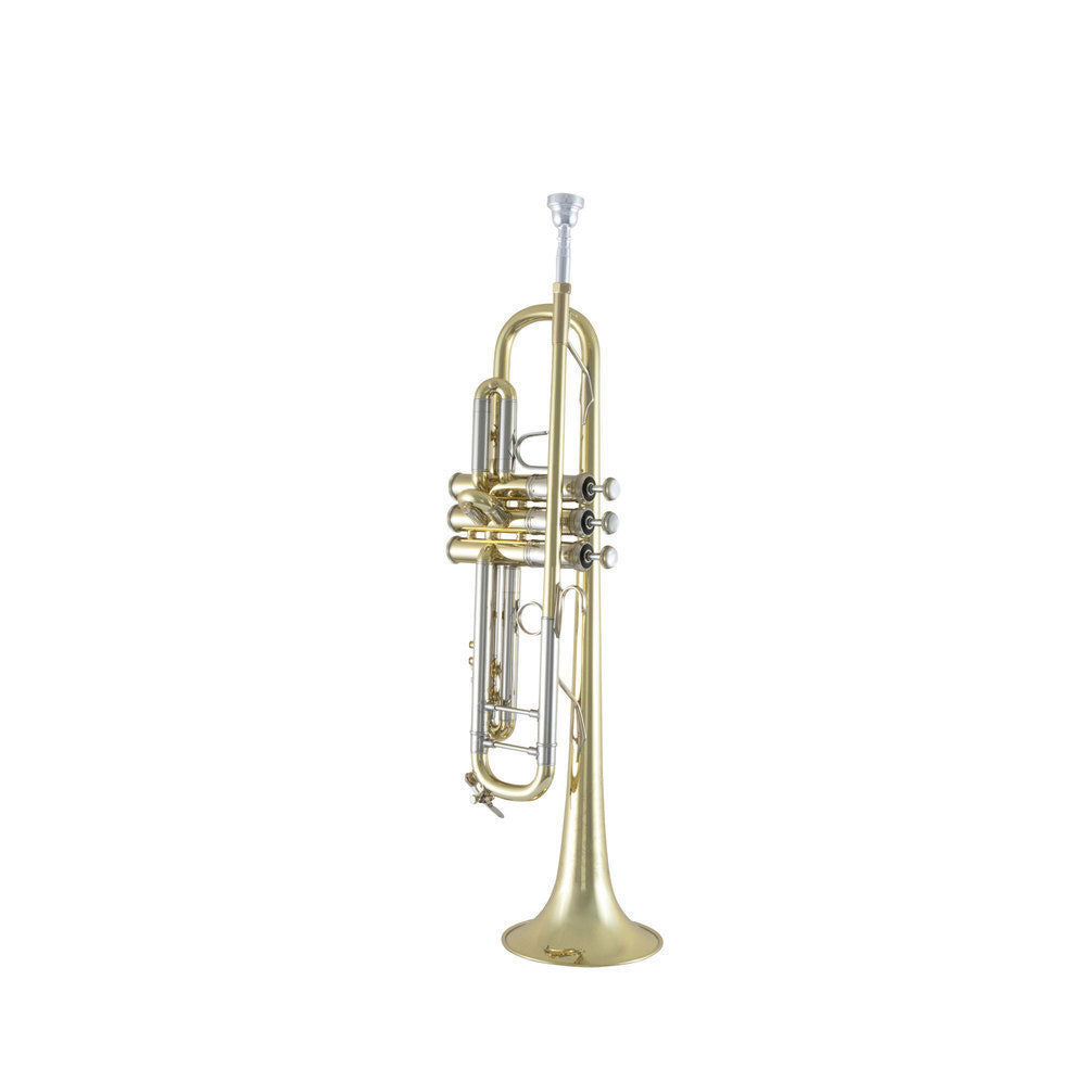 190S43 - SIB STRADIVARIUS PLATEADO