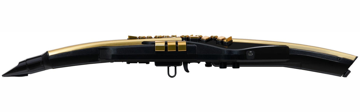 Aerophone Pro AE-30A Gold