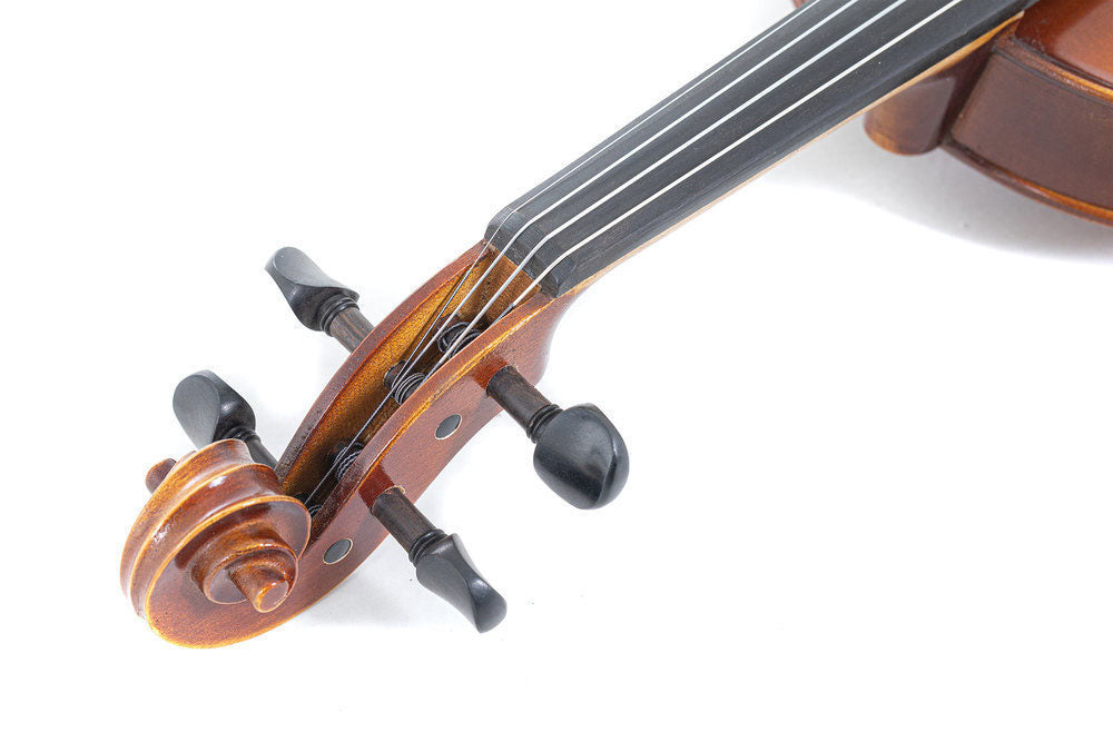 ALTO ALLEGRO-VA1 39,5 CM PREPARED FOR THE GAME PROFILED CASE CARBON BOW ALPHAYUE STRINGS