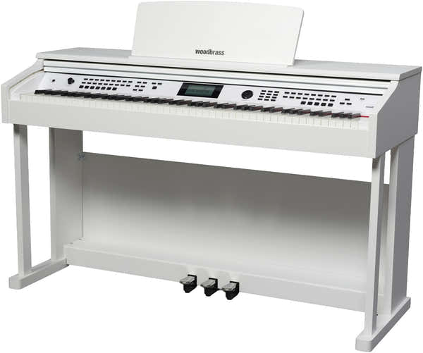 DP3 Blanco
