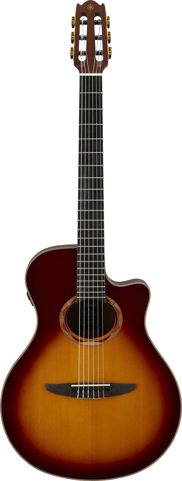 Ntx3 Sunburst marrón