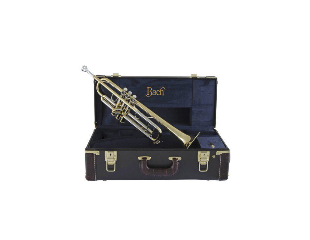 190S43 - SIB STRADIVARIUS PLATEADO