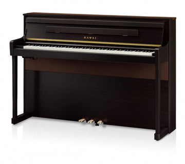 CA901 Palisandro