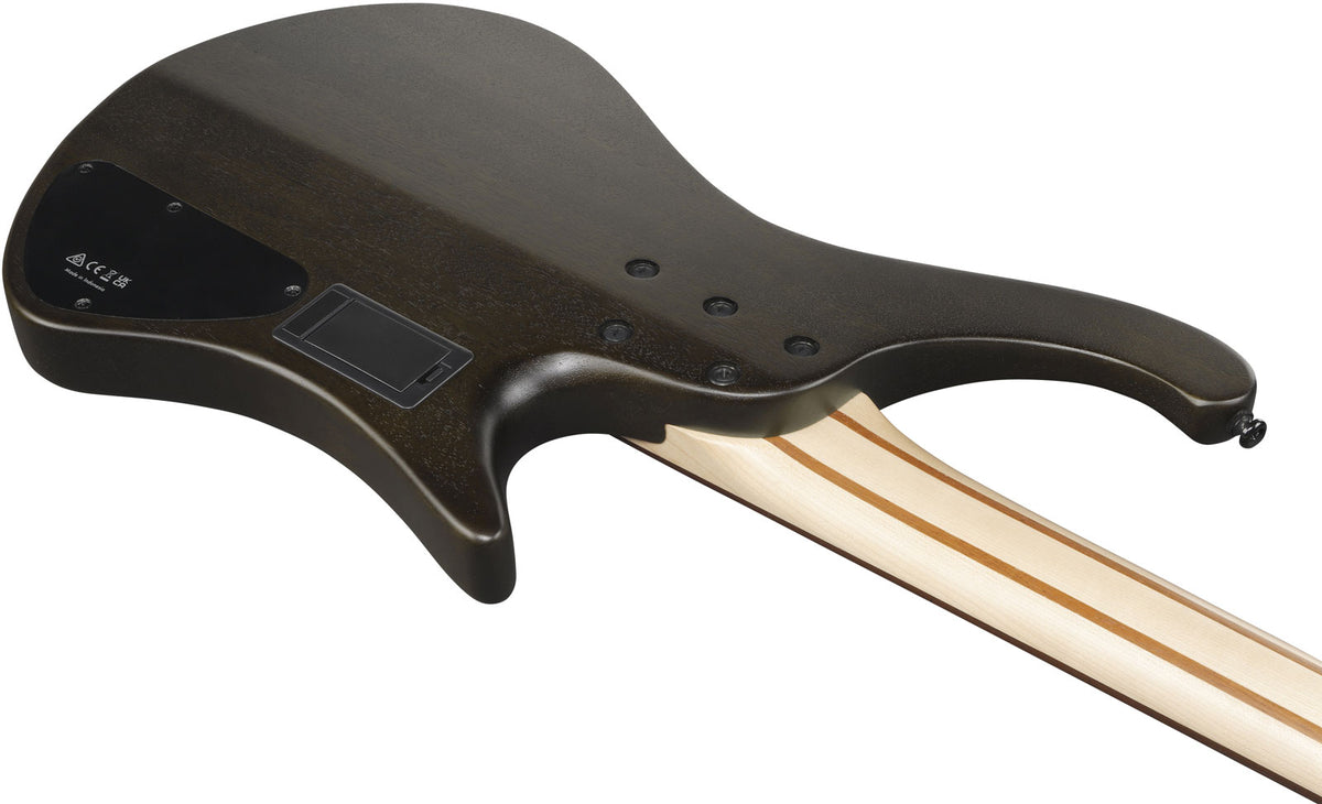 EHB600L Bass Workshop LTD Edition Zurdo Walnut Flat