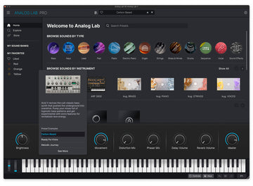 Analog Lab Pro