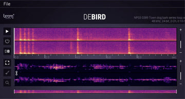 DeBird
