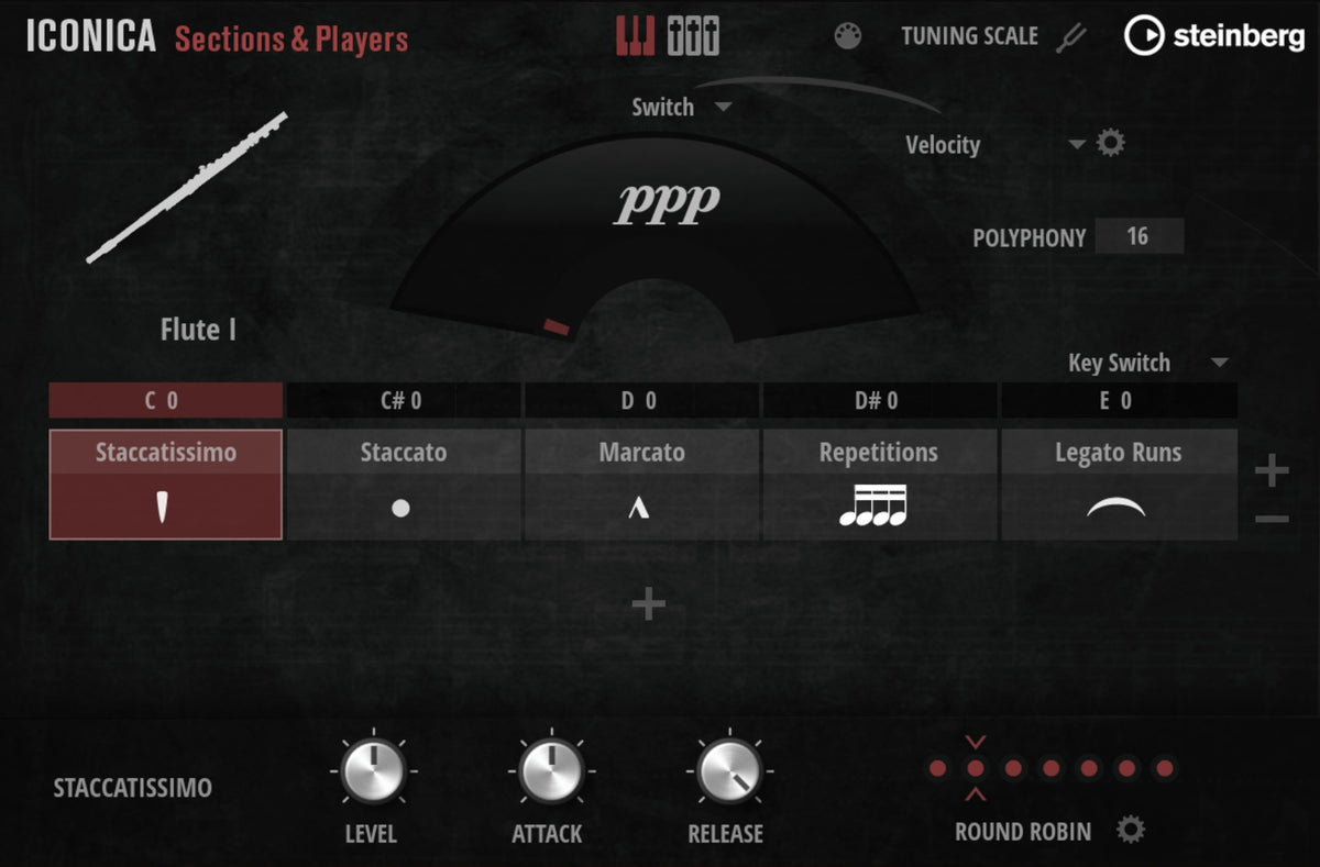 Steinberg Iconica Sections & Players
