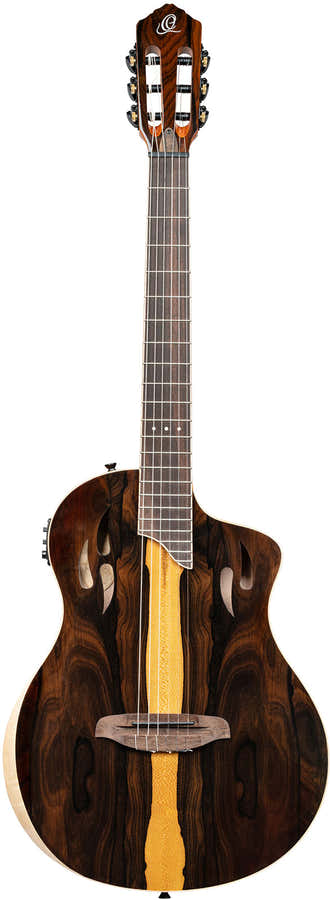 TourPlayer 4/4 + funda profesional
