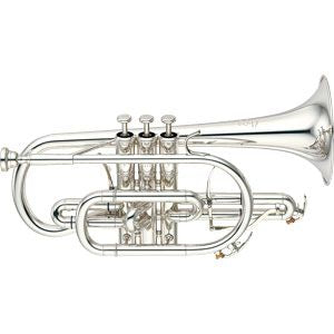 YCR8335S Neo Sib Plateado