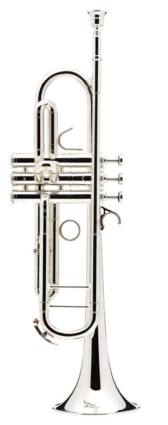 Courtois Confluence Sib Plateada - AC335BML-2-0