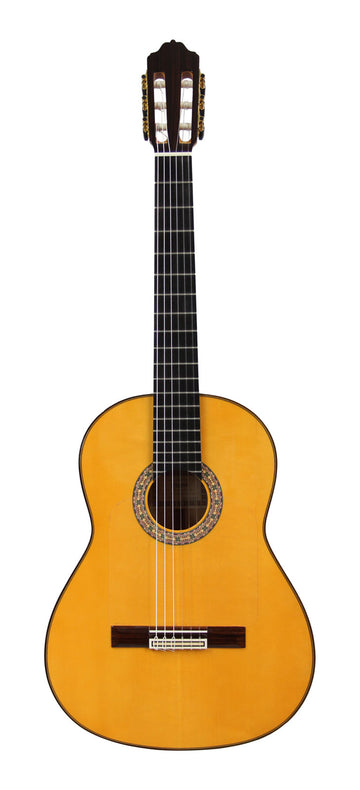 6F Spruce Top