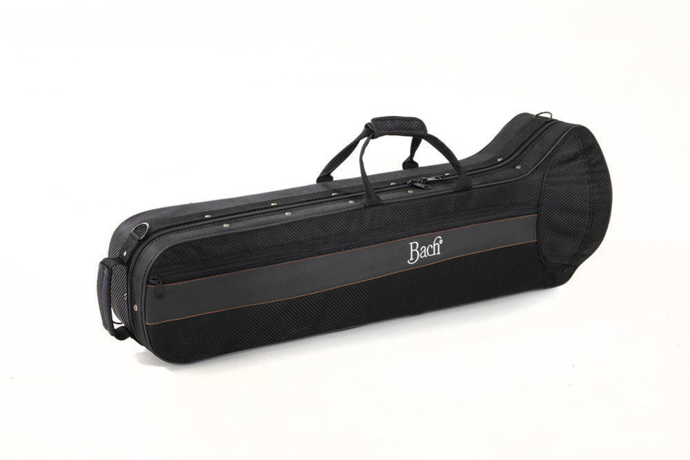 Ambition TB650 Tenor Sib/Do lacado (niño)