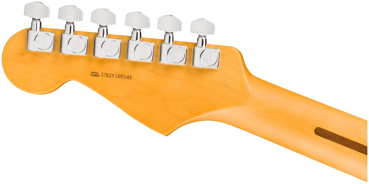 Stratocaster American Professional, RW Negro