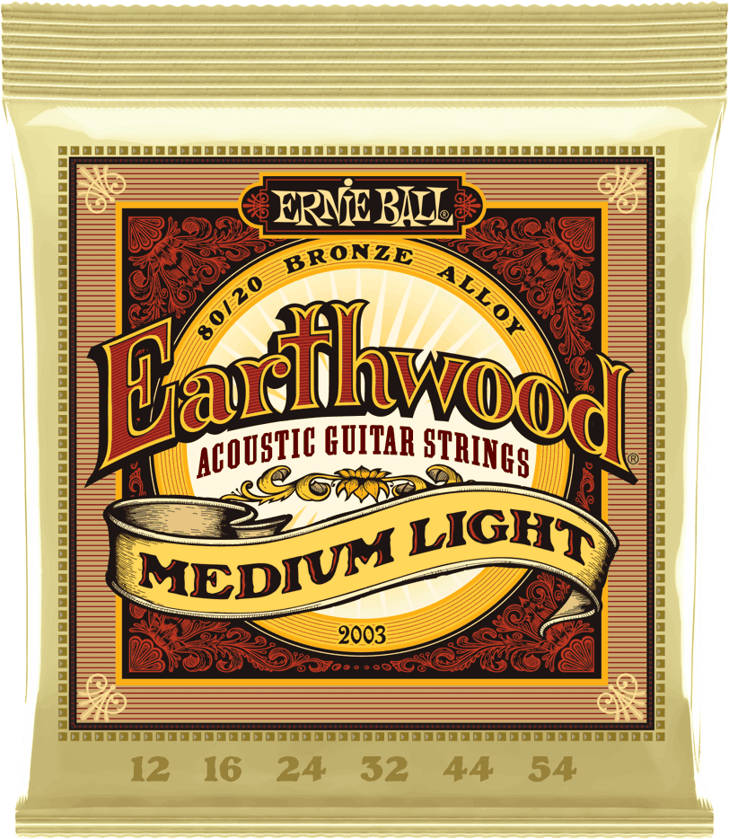 Ernie Ball 2003 ACOUSTIC EARTHWOOD BRONZE 12 54