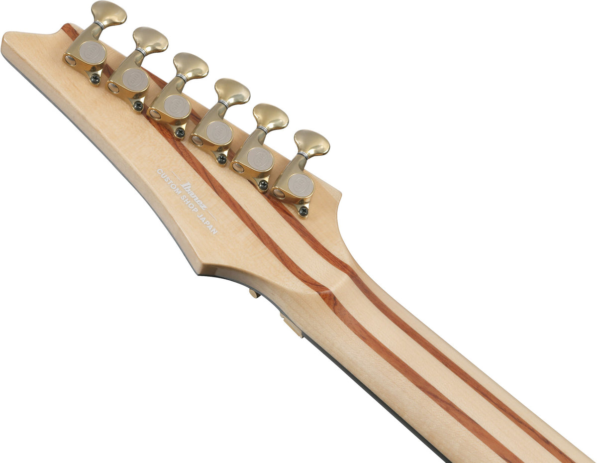 IV2RG Ibanez VISIONS