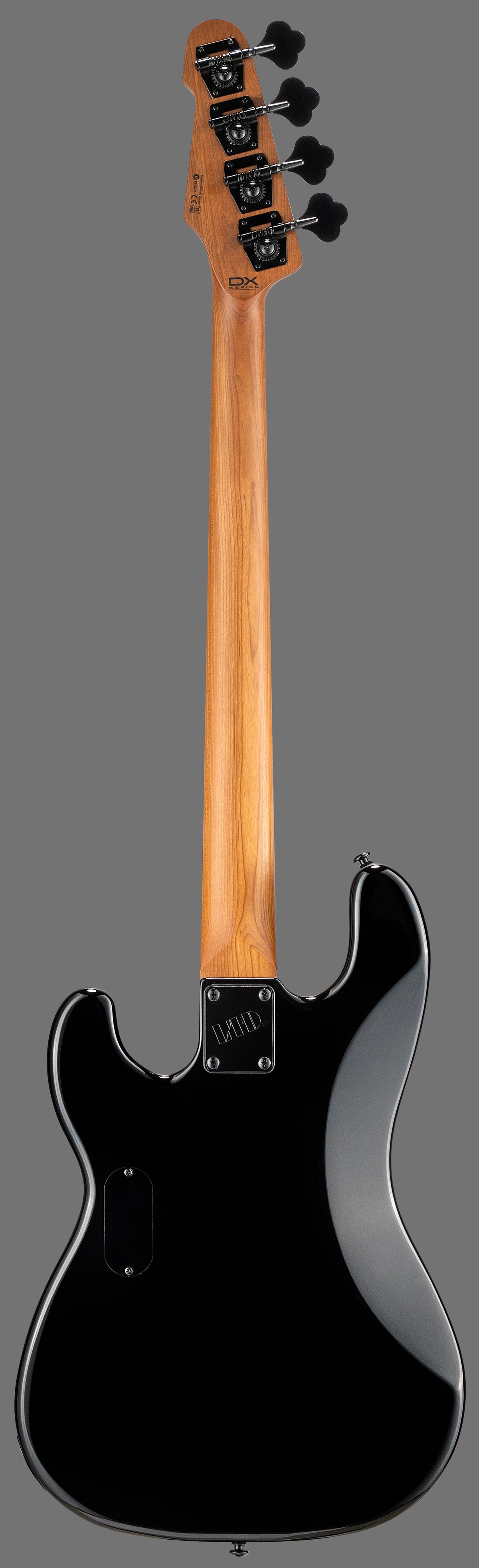 Surveyor-204DX Negro Burst