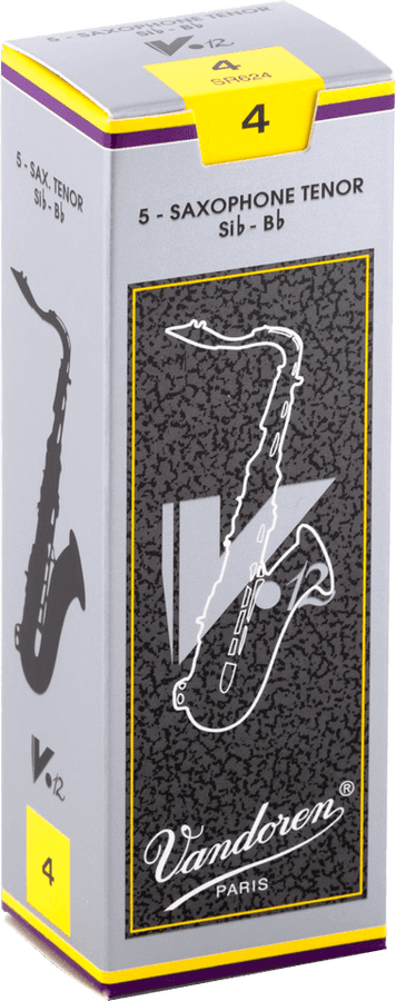 V12 4 - Saxofón Tenor