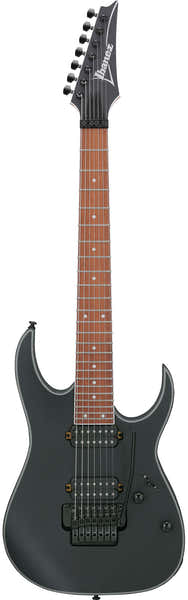 RG7420EX-BKF Negro mate