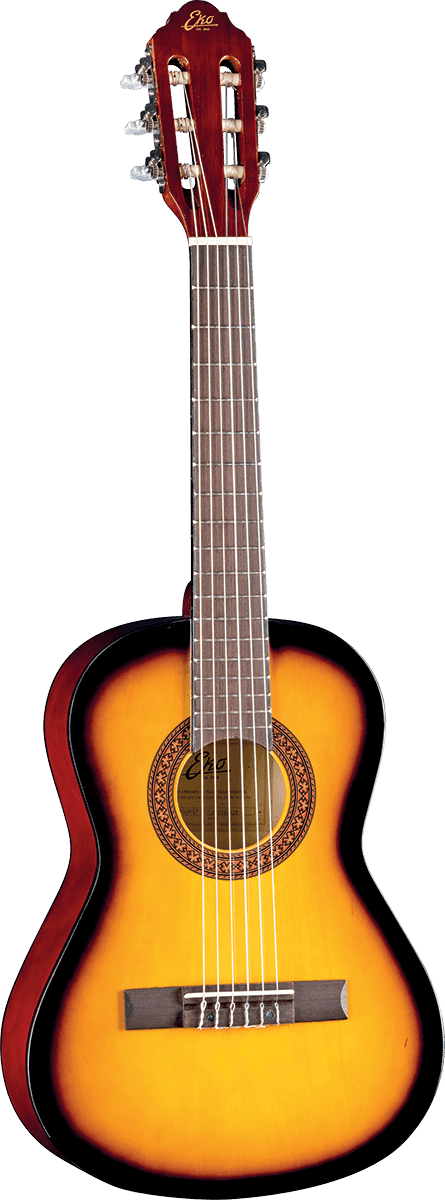 CS-2 1/2 Sunburst + Funda