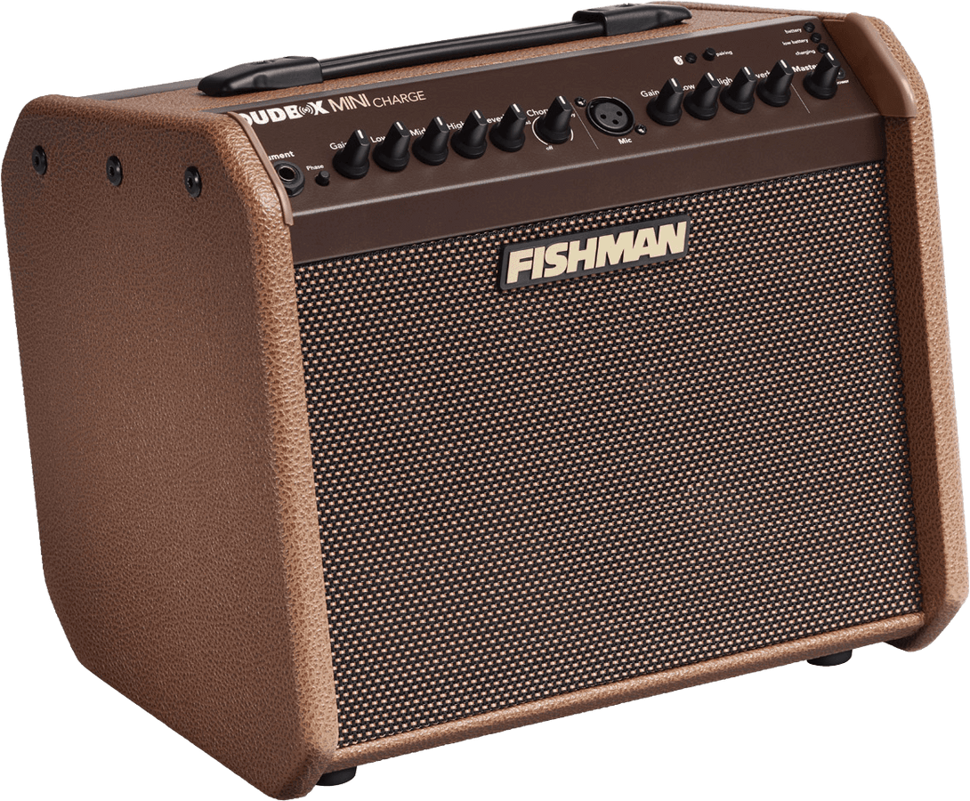 LOUDBOX MINI CHARGE AMPLIFIER
