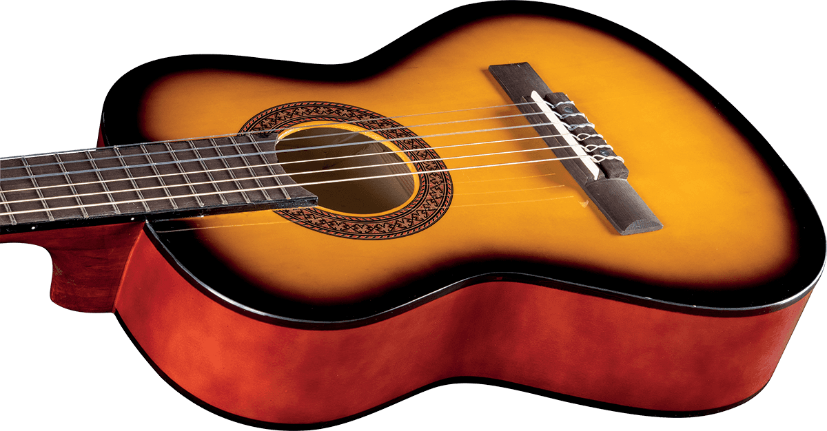 CS-2 1/2 Sunburst + Funda
