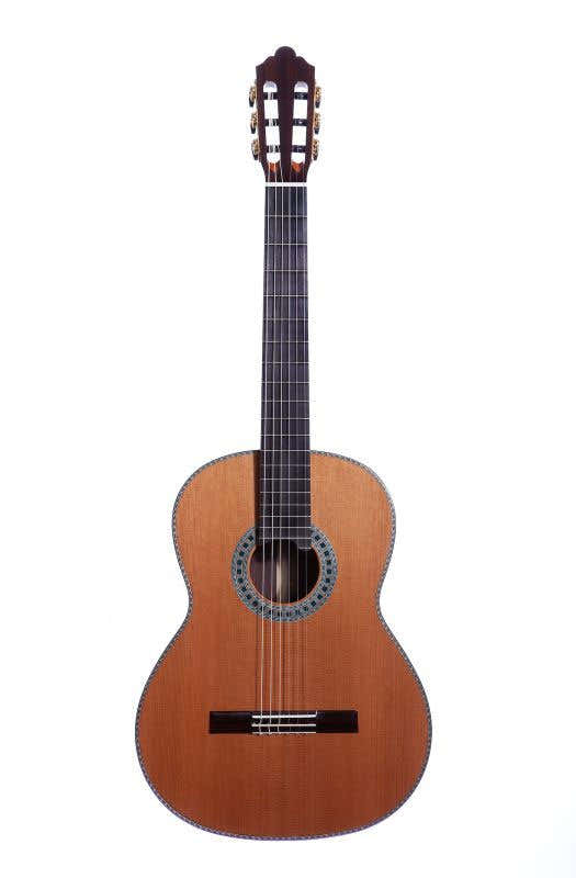 Conservatorio 1A EF Cedro Indio Rsw
