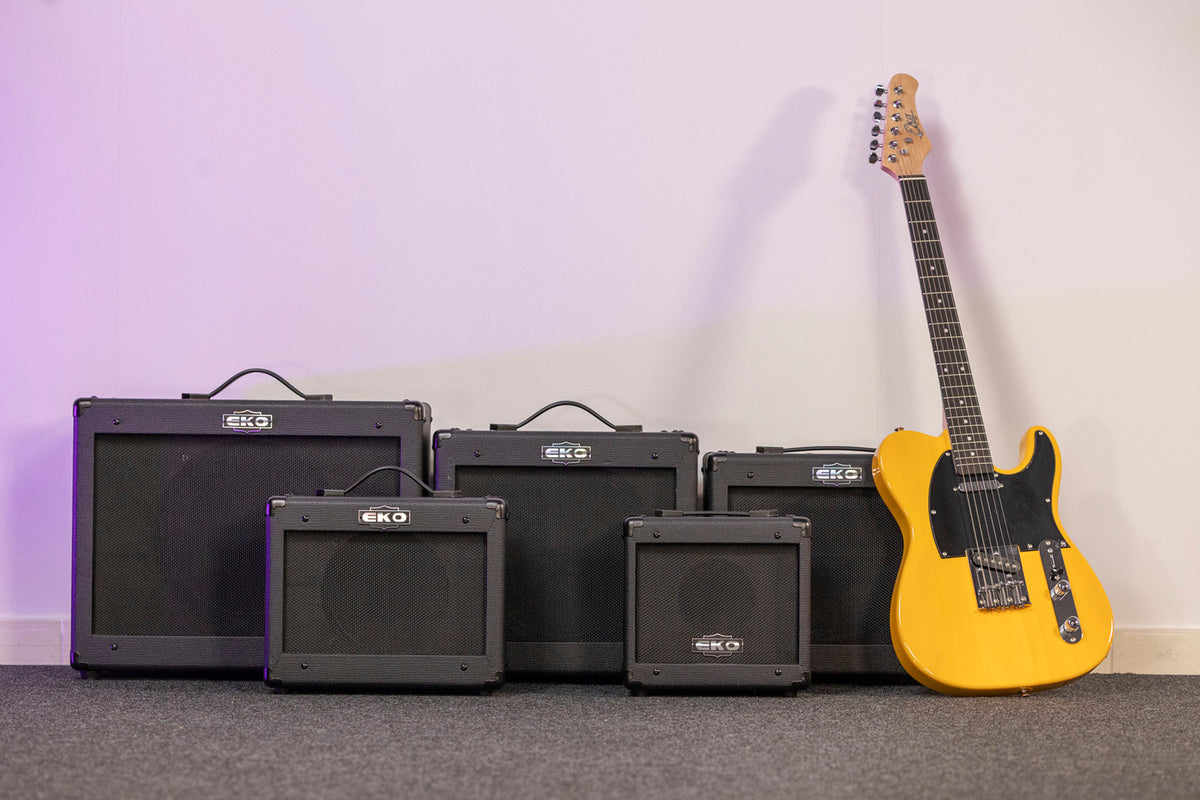 2 channels + FX loop + Reverb - 12" speaker - 35W