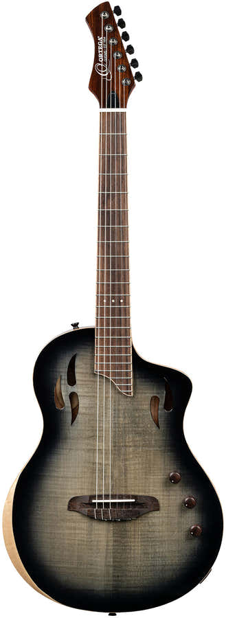 TourPlayer 4/4 + funda profesional