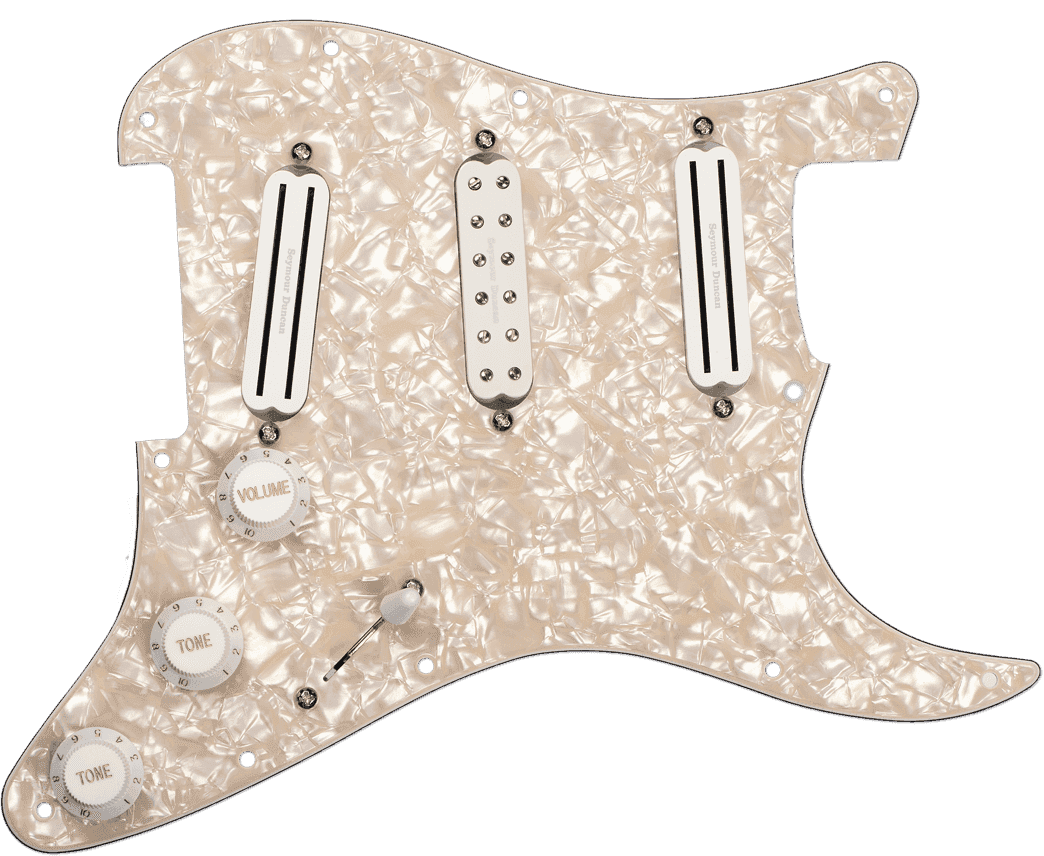 PRE-CABLE PLATES DAVE MURRAY D. MURRAY PICKGUARD