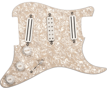 PRE-CABLE PLATES DAVE MURRAY D. MURRAY PICKGUARD