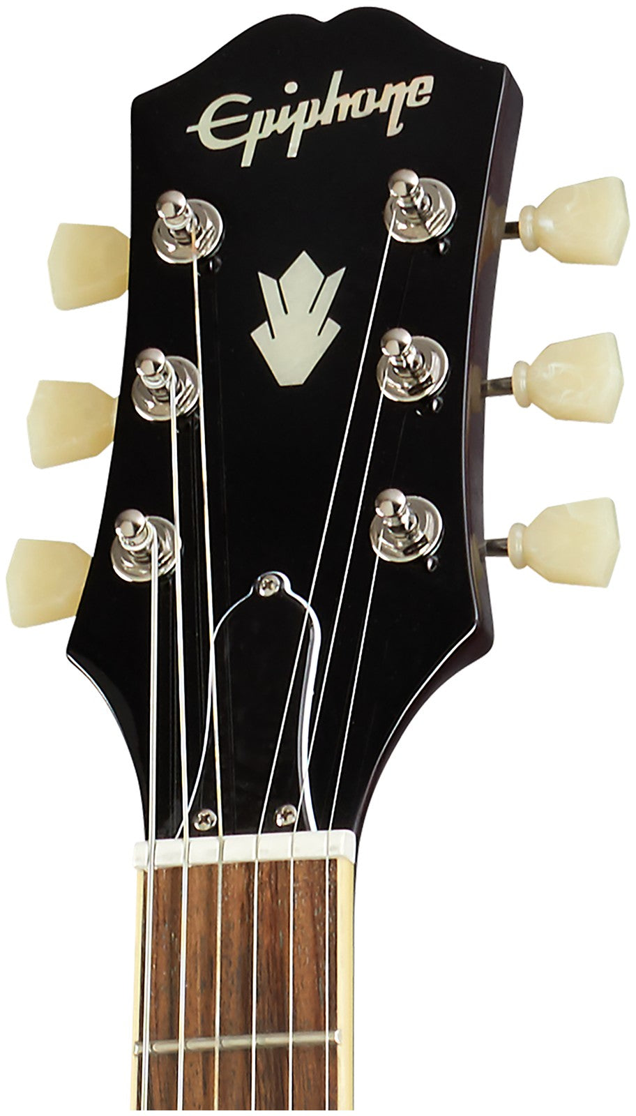 ES-335 Flameado Degradado Arándano IBG