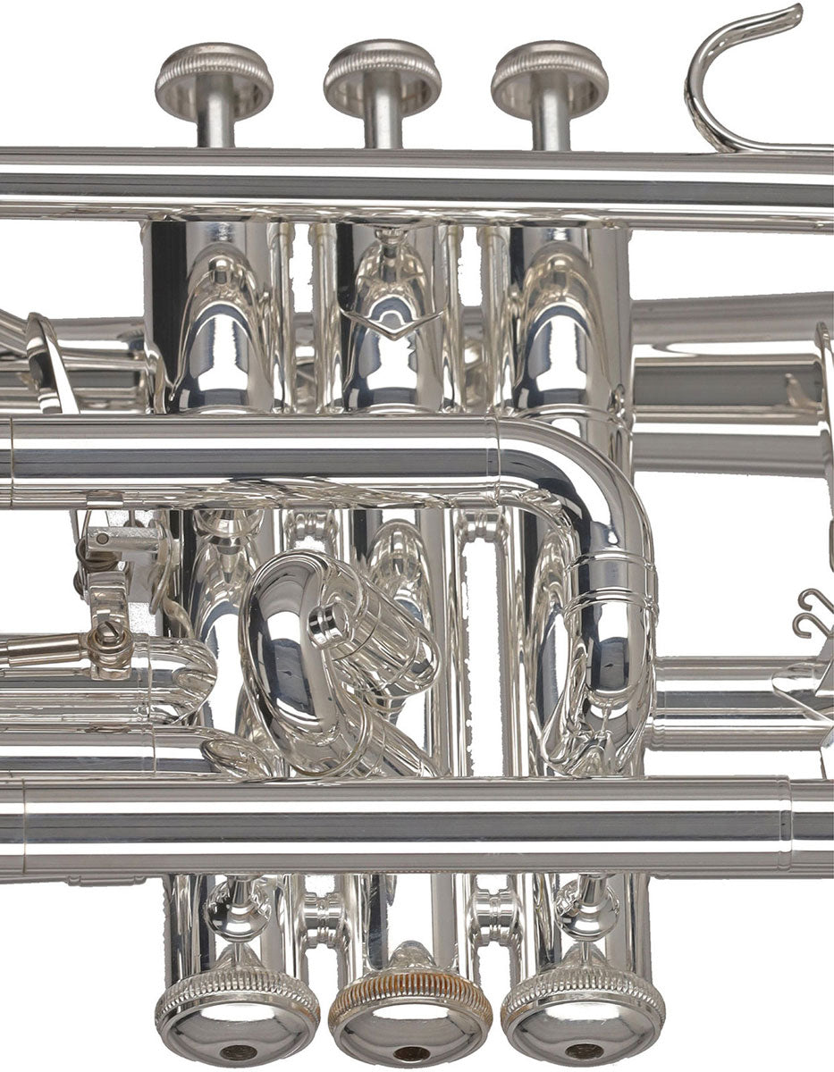 Ambition CR651S Sib Plateado